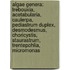 Algae Genera: Trebouxia, Acetabularia, Caulerpa, Pediastrum Duplex, Desmodesmus, Choricystis, Staurastrum, Trentepohlia, Micromonas
