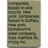 Companies Based in Erie County, New York: Companies Based in Buffalo, New York, Lackawanna Steel Company, Tops Markets Llc, Moog Inc