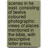 Scenes in he East. Consisting of twelve coloured photographic views of places mentioned in the Bible, with descriptive letter-press. door Henry Baker Tristram