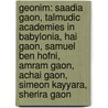 Geonim: Saadia Gaon, Talmudic Academies in Babylonia, Hai Gaon, Samuel Ben Hofni, Amram Gaon, Achai Gaon, Simeon Kayyara, Sherira Gaon by Books Llc