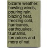 Bizarre Weather: Howling Winds, Pouring Rain, Blazing Heat, Freezing Cold, Hurricanes, Earthquakes, Tsunamis, Tornadoes and More of Nat by Joanne O'Sullivan