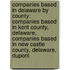 Companies Based in Delaware by County: Companies Based in Kent County, Delaware, Companies Based in New Castle County, Delaware, DuPont