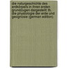 Die Naturgeschichte Des Erdkörpers in Ihren Ersten Grundzugen Dargestellt: Th. Die Physiologie Der Erde Und Geognosie (German Edition) door Keferstein Christian