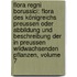 Flora Regni Borussici: Flora Des Königreichs Preussen Oder Abbildung Und Beschreibung Der In Preussen Wildwachsenden Pflanzen, Volume 7