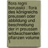 Flora regni Borussici : flora des Königreichs Preussen oder Abbildung und Beschreibung der in Preussen wildwachsenden Pflanzen Volume 1