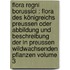 Flora regni Borussici : flora des Königreichs Preussen oder Abbildung und Beschreibung der in Preussen wildwachsenden Pflanzen Volume 3