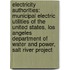 Electricity Authorities: Municipal Electric Utilities of the United States, Los Angeles Department of Water and Power, Salt River Project