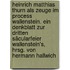 Heinrich Matthias Thurn als Zeuge im Process Wallenstein. Ein Denkblatt zur dritten Säcularfeier Wallenstein's, hrsg. von Hermann Hallwich