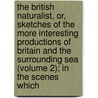 the British Naturalist, Or, Sketches of the More Interesting Productions of Britain and the Surrounding Sea (Volume 2); in the Scenes Which by Robert Mudie