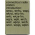 Connecticut Radio Station Introduction: Wesu, Wnhu, Wapj, Wknd, Wtic-Fm, Wrki, Wkze-Fm, Wgrs, Wplr, Wrch, Watr, Wpop, Werb, Wstc, Wqqq, Wpkn