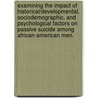 Examining the Impact of Historical/Developmental, Sociodemographic, and Psychological Factors on Passive Suicide Among African-American Men. door Tameka M. Tucker