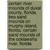 Certain River Mounds of Duval County, Florida. Two Sand Mounds on Murphy Island, Florida. Certain Sand Mounds of the Ocklawaha River, Florida