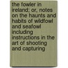 the Fowler in Ireland; Or, Notes on the Haunts and Habits of Wildfowl and Seafowl Including Instructions in the Art of Shooting and Capturing door Ralph Payne-Gallwey