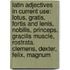Latin Adjectives in Current Use: Lotus, Gratis, Fortis and Lenis, Nobilis, Princeps, Gracilis Muscle, Rostrata, Clemens, Dexter, Felix, Magnum