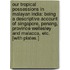 Our Tropical Possessions in Malayan India: being a descriptive account of Singapore, Penang, Province Wellesley and Malacca, etc. [With plates.]