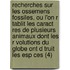 Recherches Sur Les Ossemens Fossiles, Ou L'on R Tablit Les Caract Res De Plusieurs Animaux Dont Les R Volutions Du Globe Ont D Truit Les Esp Ces (4)