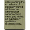 Understanding the Experience of Suicidality During Adolescence Among Lower Socioeconomic Strata Gay Males: An Exploratory Qualitative Research Study. door Thomas P. Curry
