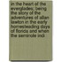 In the Heart of the Everglades; Being the Story of the Adventures of Allan Lawton in the Early Homesteading Days of Florida and When the Seminole Indi