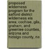 Proposed Wilderness Program for the Safford District Wilderness Eis Area; Cochise, Gila, Graham, and Greenlee Counties, Arizona and Hidalgo County, Ne