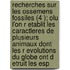 Recherches Sur Les Ossemens Fossiles (4 ); Olu L'On R Etablit Les Caractleres de Plusieurs Animaux Dont Les R Evolutions Du Globe Ont D Etruit Les Esp