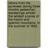 Letters from the Pyrenees during three months pedestrian wanderings amidst the wildest scenes of the French and Spanish Mountains, in the summer of 1842. door Thomas Clifton Paris