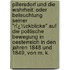 Pillersdorf Und Die Wahrheit: Oder Beleuchtung Seiner "Rï¿½Ckblicke" Auf Die Politische Bewegung in Oesterreich in Den Jahren 1848 Und 1849, Von M. K.