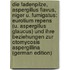 Die Fadenpilze, Aspergillus Flavus, Niger U. Fumigatus: Eurotium Repens (U. Aspergillus Glaucus) Und Ihre Beziehungen Zur Otomycosis Aspergillina (German Edition)