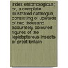 Index Entomologicus; Or, a Complete Illustrated Catalogue, Consisting of Upwards of Two Thousand Accurately Coloured Figures of the Lepidopterous Insects of Great Britain door W. (William) Wood