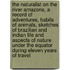 The naturalist on the River Amazons, A record of adventures, habits of animals, sketches of Brazilian and Indian life and aspects of nature under the Equator during eleven years of travel