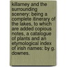 Killarney and the surrounding scenery: being a complete Itinerary of the Lakes, to which are added copious notes, a catalogue of plants and an etymological index of Irish names: by G. Downes. by George Smith