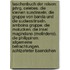 Taschenbuch Der Reisen: Jahrg. Celebes. Die Kleinen Sundinseln. Die Gruppe Von Banda Und Die Sudwestinseln. Amboina Gruppe. Die Molucken. Die Insel Magindano (Melindeno). Die Philippinen. Allgemeine Betrachtungen. Achtzehnter Baendchen
