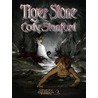 Tiger Stone by Cody L. Stanford
