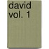 David Vol. 1