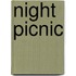 Night Picnic