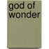 God of Wonder