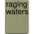 Raging Waters