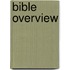 Bible Overview