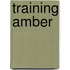 Training Amber