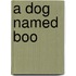 A Dog Named Boo