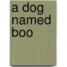 A Dog Named Boo by Lisa J. Edwards