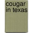 Cougar in Texas