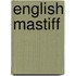 English Mastiff