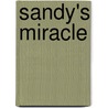 Sandy's Miracle door Patsy Giddings