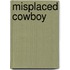 Misplaced Cowboy