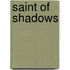 Saint of Shadows