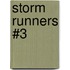 Storm Runners #3