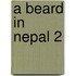 A Beard in Nepal 2