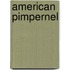 American Pimpernel