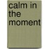 Calm in the Moment