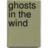 Ghosts in the Wind